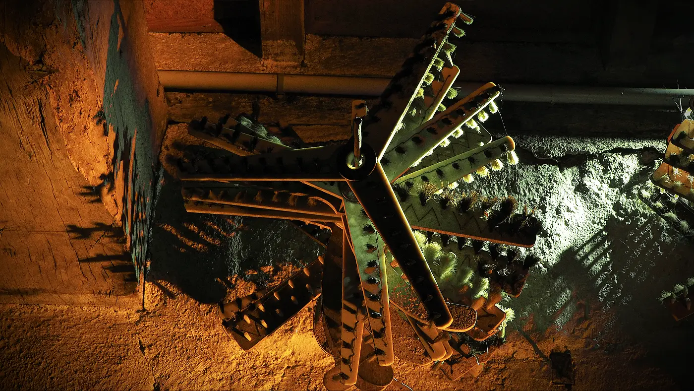 Brosses du Moulin de Porchères